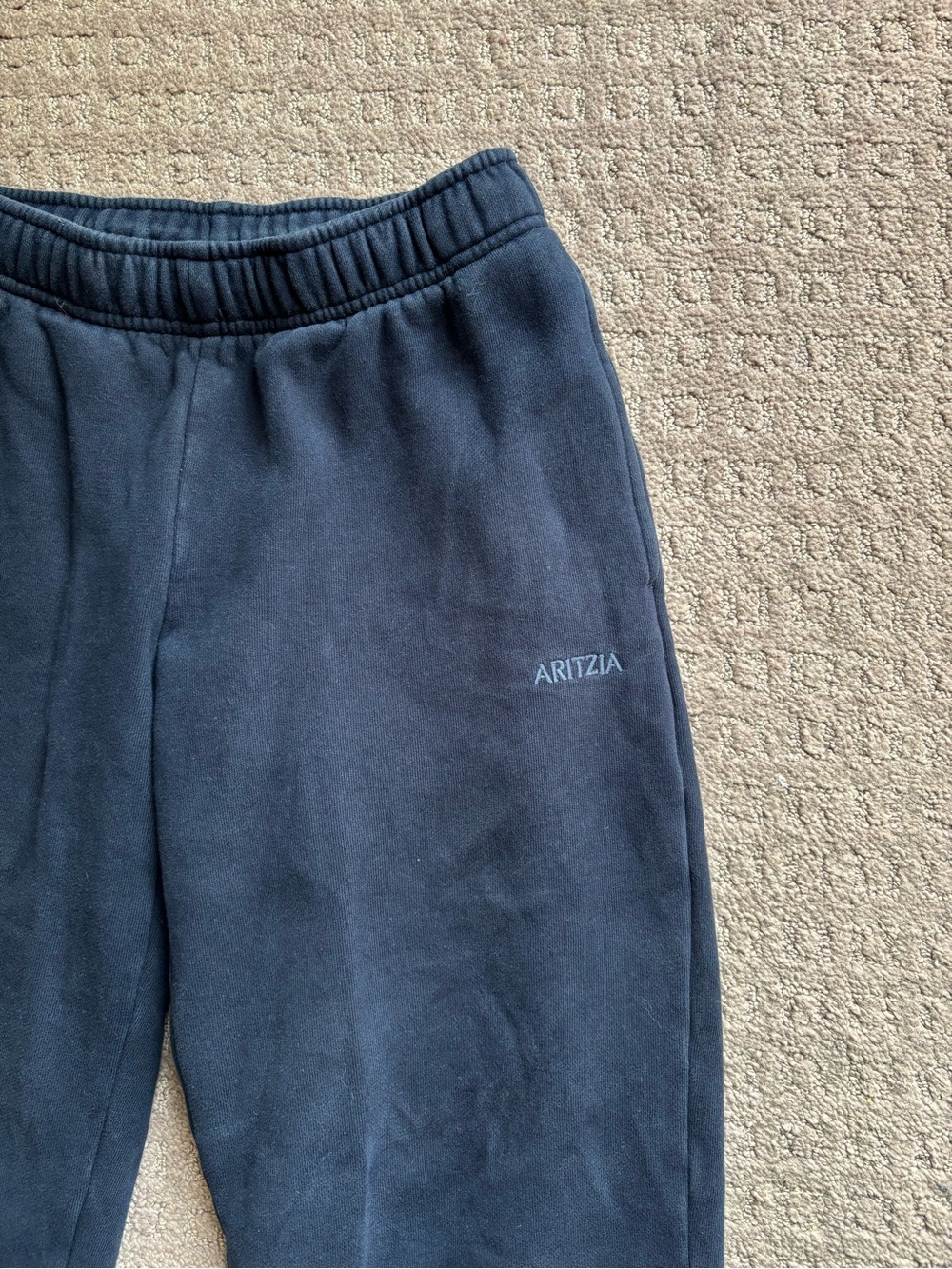 Aritzia Sweatfleece Mega Fit Navy Sweatpants
